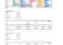 clean, organize and analyse your data in excel